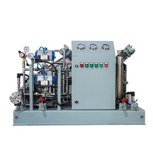 Máy nén khí CO₂ không dầu Bailian CW-30/0.05-20 - 3