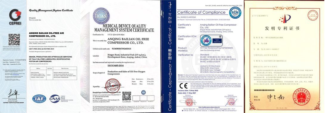 Máy nén khí nitơ (N₂) không dầu Bailian WW-100-6-30 (tăng áp)