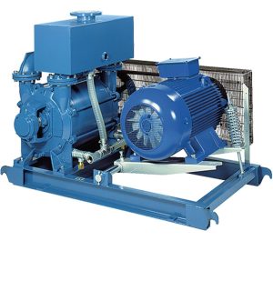 Cụm bơm chân không vòng chất lỏng Robuschi LRVS CRVS