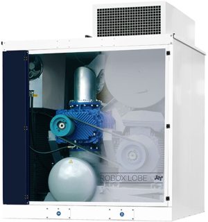 Cụm bơm chân không Robuschi Robox Lobe DV