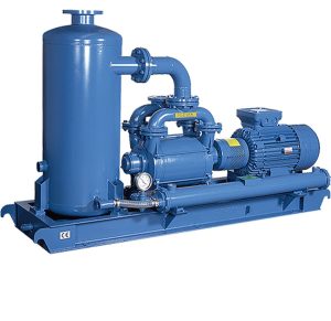 Bơm chân không Robuschi (Vacuum Pumps)