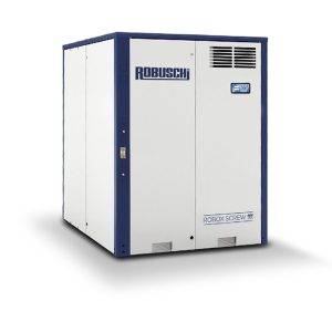 Máy thổi khí dạng thể tích Robuschi (Positive Displacement Blowers)