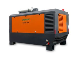 Máy nén khí lắp khung trượt (Skid-mounted) DENAIR