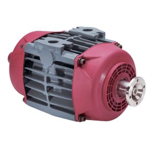 Máy nén cánh gạt không dầu GD150 GD175 Gardner Denver