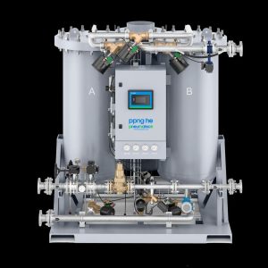Máy tạo nitơ PSA Pneumatech (PPNG)