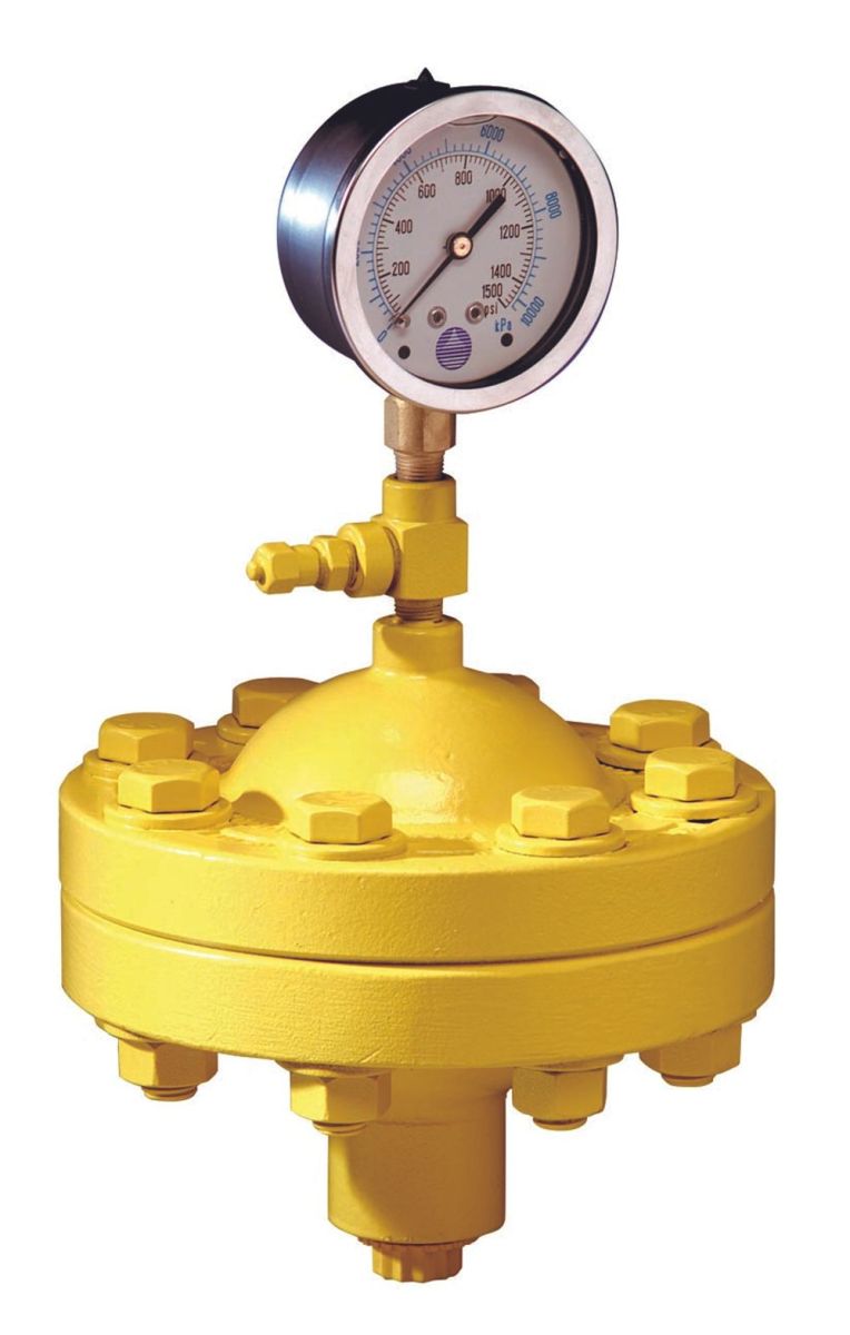 Bộ giảm xung Milton Roy (Pulsation Dampener)