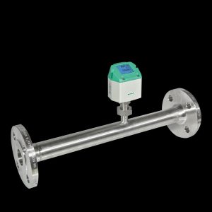 cảm biến lưu lượng khí nén Pneumatech Flow Check with Flange