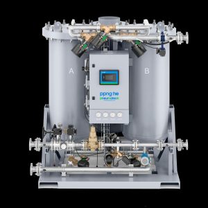 máy tạo nitơ PSA lưu lượng cao Pneumatech PPNG 100-800 HE