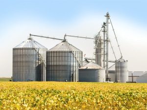 Ngành ứng dụng ROOTS (Industries & Applications)