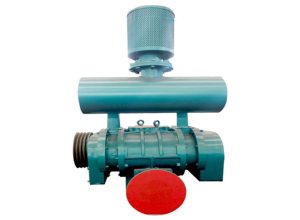 Máy thổi khí Roots Shangu bơm chân không Roots áp suất âm cao - 2