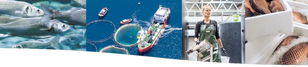Máy thổi khí và bơm Robuschi cho nuôi trồng thủy sản