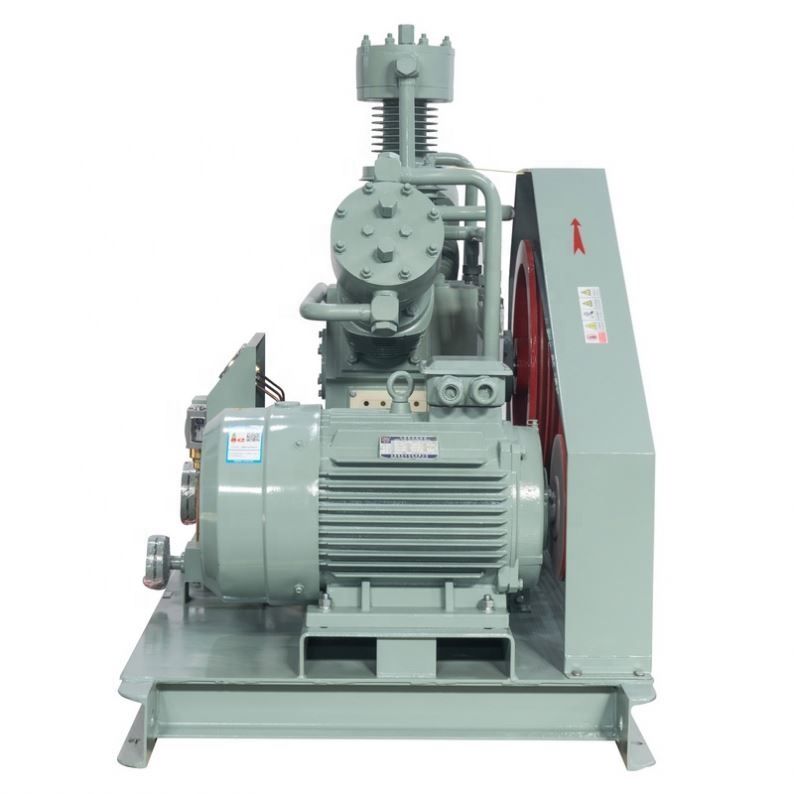 Máy nén khí nitơ (N₂) không dầu Bailian WW-100-6-30 - 6 - mô tả chi tiết