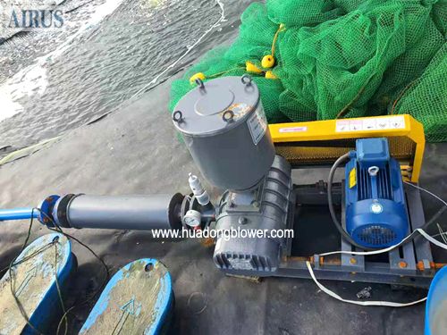 Nuôi trồng thủy sản (Aquaculture) – Shandong Huadong