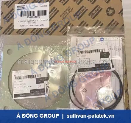 Atlas Compressor phụ tùng 1622071100 gioăng New lọc khí for S