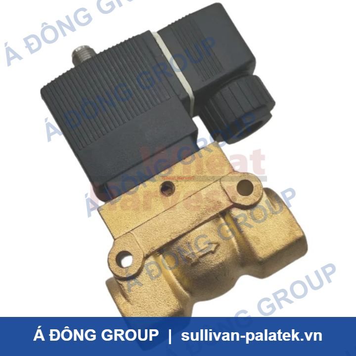 Boge 644006301P/8494406.8101 van điện từ for Boge Air Com
