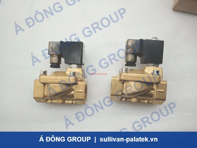 Solenoid Valve Replacement For Atlas 1089038035 Of Screw Air