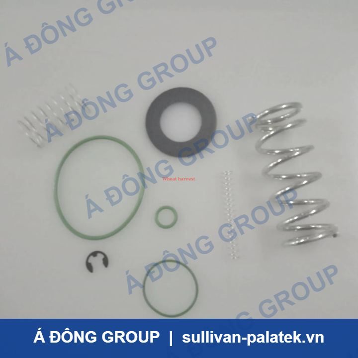 Atlas Minimum Pressure Valve Kit 50-250 psi with HNBR Seals