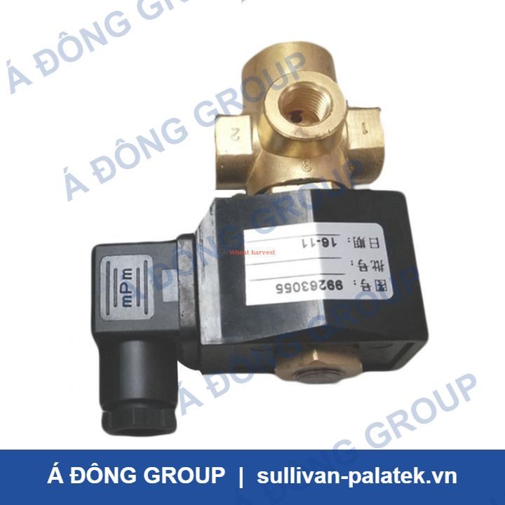 Ingersoll-Rand 99263055 Solenoid Valve for Air Compressors 2