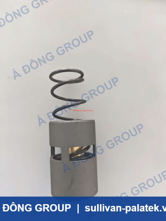 Atlas van hằng nhiệt bảo dưỡng Bao 2901161700 High Qua