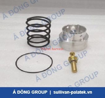 Metal Oil Regulator Model 2420327067P online