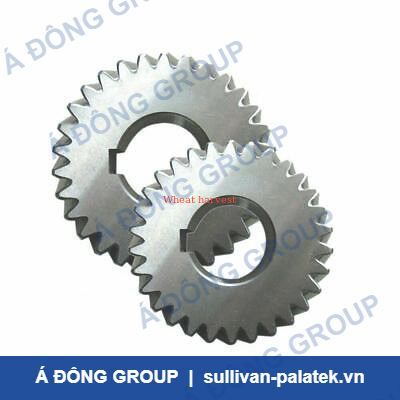 Atlas Gear 1614931200/1614931300 High Load Capacity Air Comp