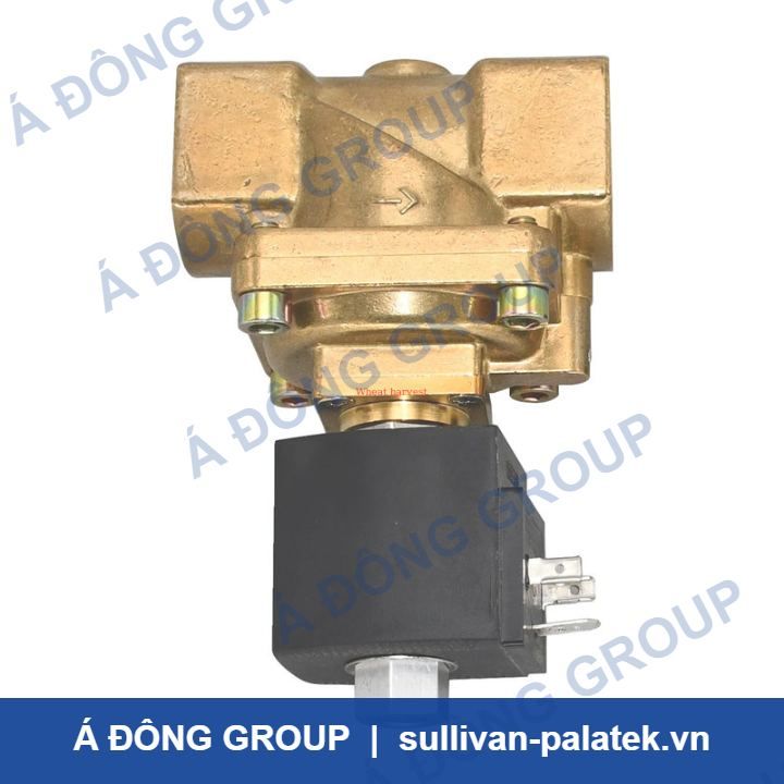 Ingersoll-Rand 92917004 Solenoid Valve for Air Compressor 24