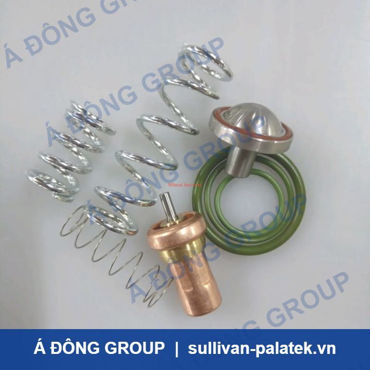 Atlas Temperature Control Valve Maintenance Kit 2901109500 H