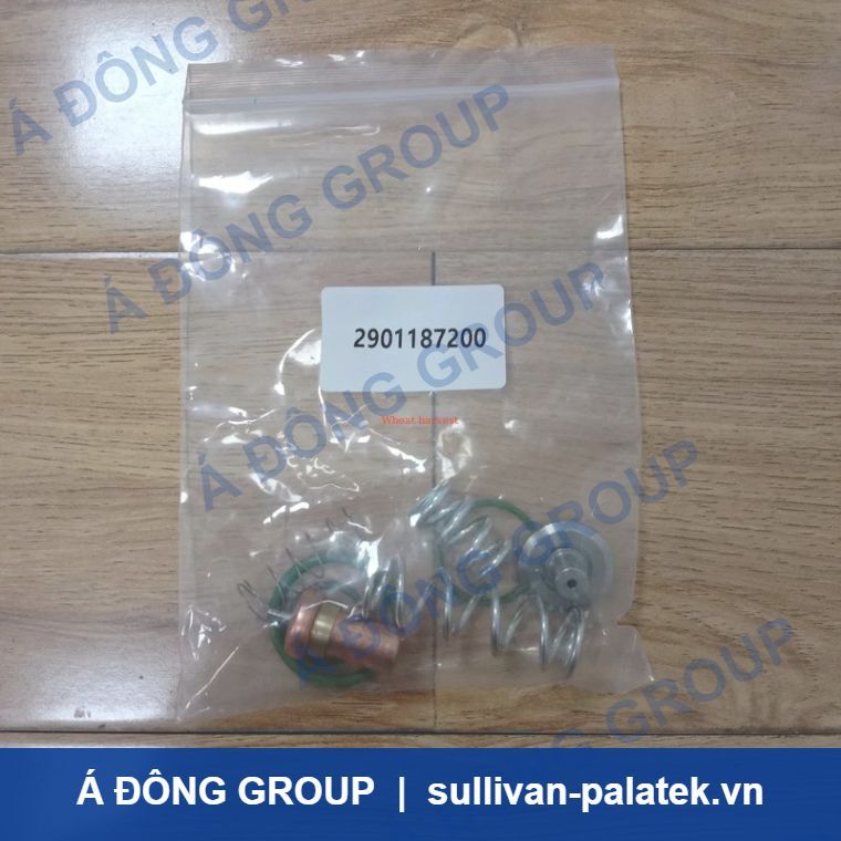 Atlas Temperature Control Valve Maintenance Kit 2901187200 H
