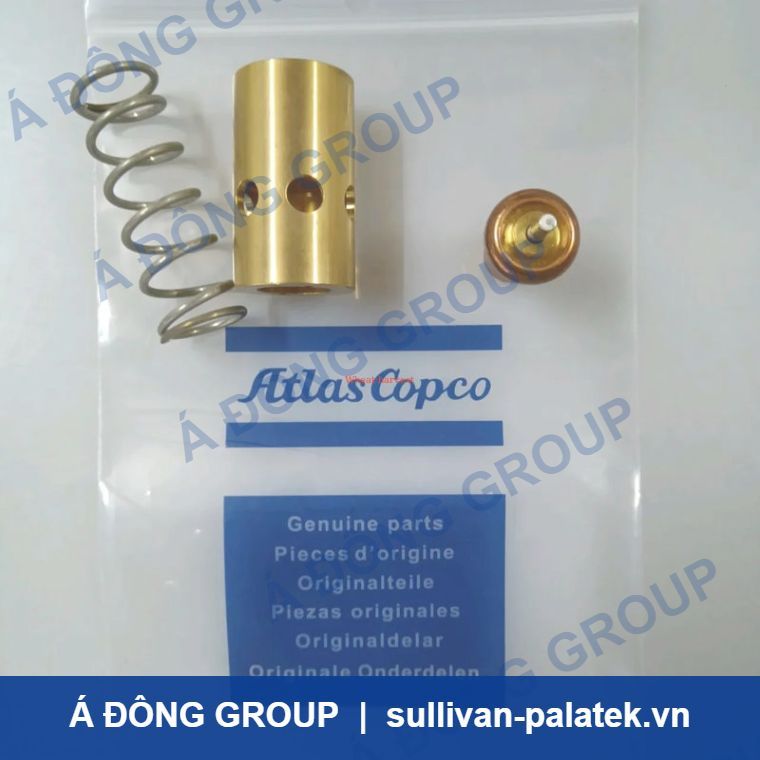 Atlas Air Compressor Temperature Control Valve 2901109500 on