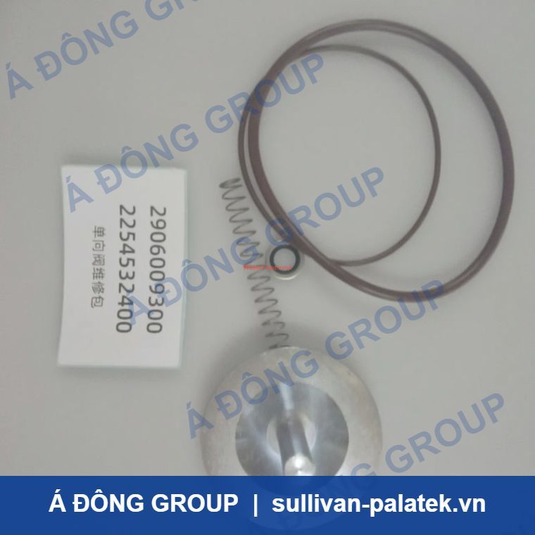 2906009300 Oil Stop Check Valve Kit For Precise Oil Regulati