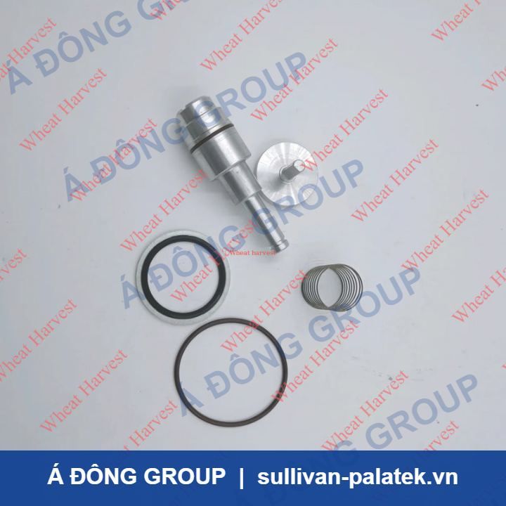 Atlas Minimum Pressure Valve Maintenance Kit 50-6000 psi onl