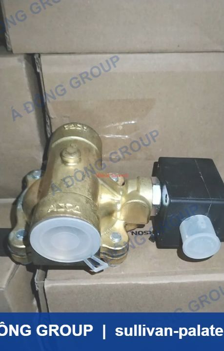 Atlas Solenoid Valve 24V DC 1/8