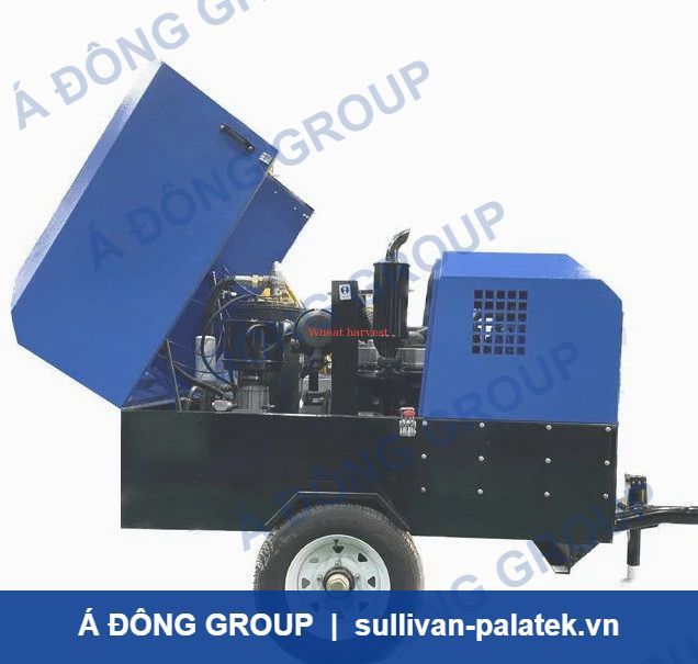Diesel Engine 21bar Screw Diesel Air Compressor Air Compress