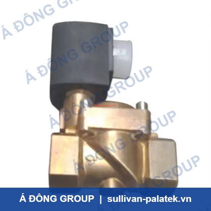 Ingersoll-Rand Solenoid Valve 39418946 for Air Compressor 24