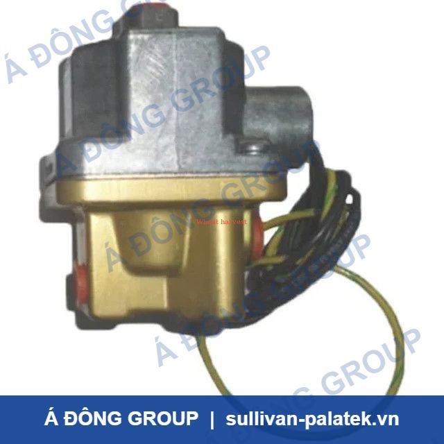 Ingersoll-Rand 39172739 Solenoid Valve for Air Compressor 24