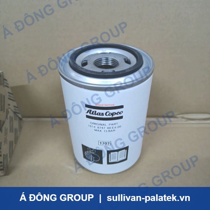 Atlas 1614874700 Oil Filter for Air Compressor 10-20 Micron