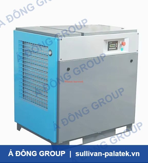 Customized 380V Industrial Two-Stage Scroll Oil-Less Station