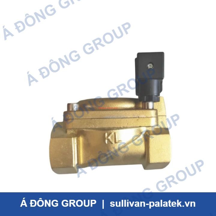 Ingersoll-Rand 92916998 Solenoid Valve for Air Compressor 24