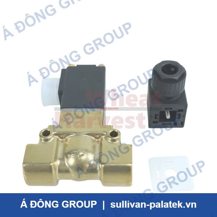 Boge 644006105P van điện từ for Atlas máy nén khí onli