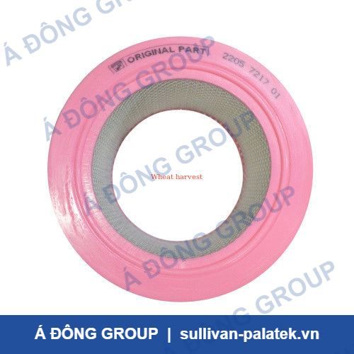 Atlas Air Filter 2205721701 for Air Compressors 10 Micron Fi