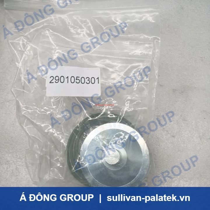 Atlas Non-return Valve 2901050301 High Quality Screw Air Com