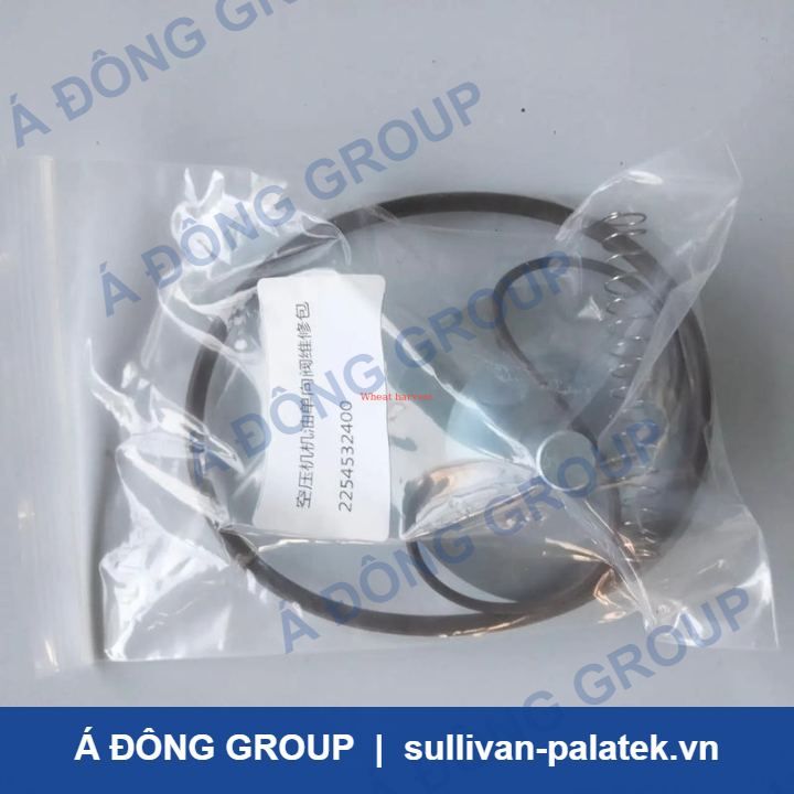 Atlas Blowdown Valve Maintenance Kit 2254532400 High Quality