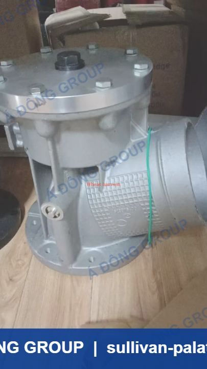 Atlas Intake valve assembly 1623079480 High Quality Screw Ai