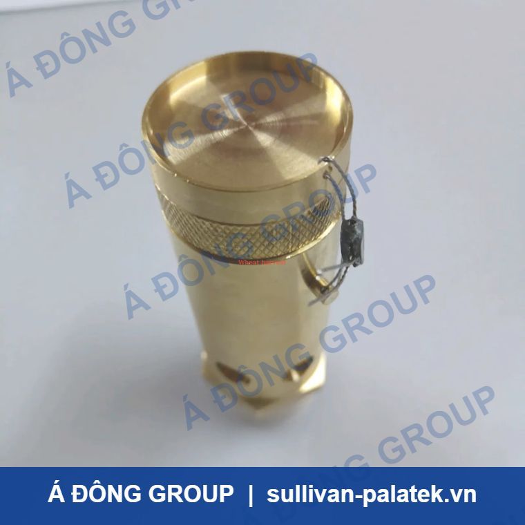 Atlas Safety Valve 0830100812 High Quality Screw Air Compres
