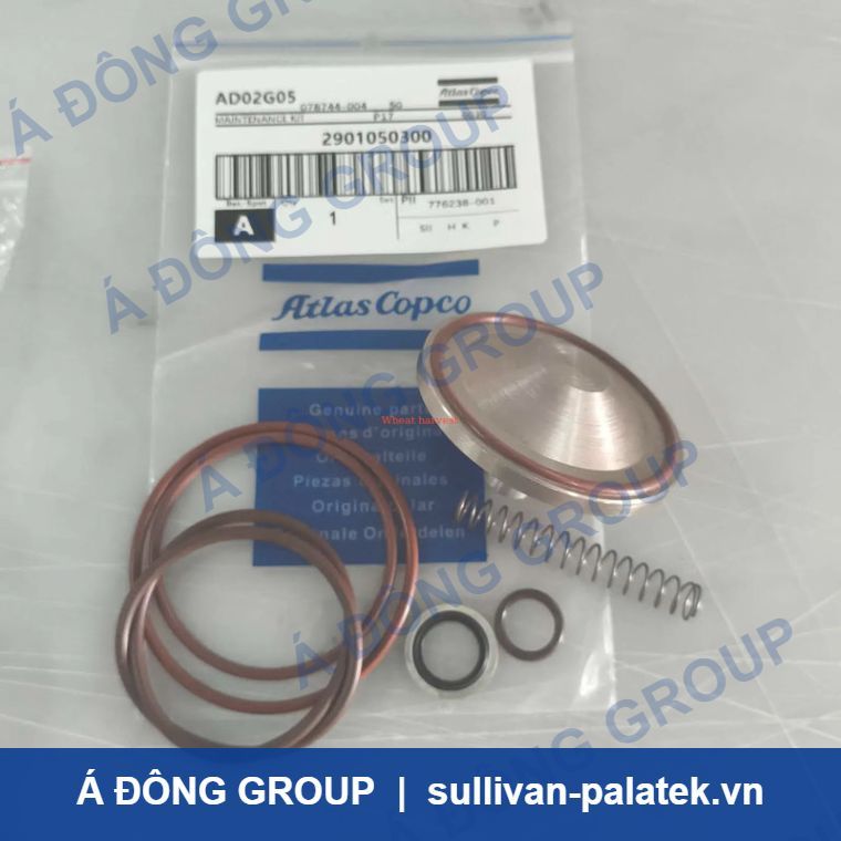 Atlas Check Valve Maintenance Kit 2901050300 High Quality Sp