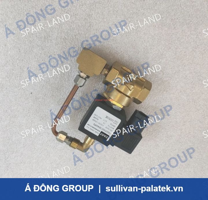 IR 22410286 Industrial Compressor Solenoid Valve Hot Selling