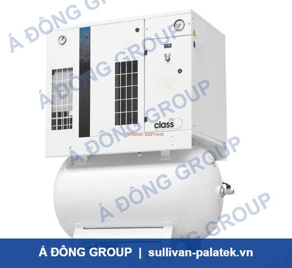 Recustomize Power Frequency 16.5KW Oil-free Cold and Dry Scr