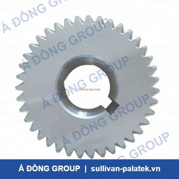 Atlas Gear 1614931200/1614931300 Air Compressor Spare Parts