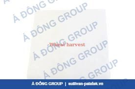 Atlas Air Filter 1630058904 High Efficiency for Compressors