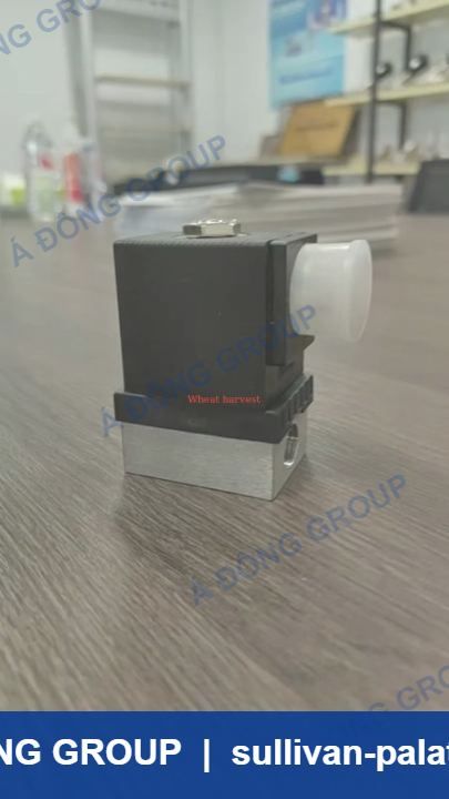 Atlas Solenoid Valve 1089064044 24V DC for Air Compressor on